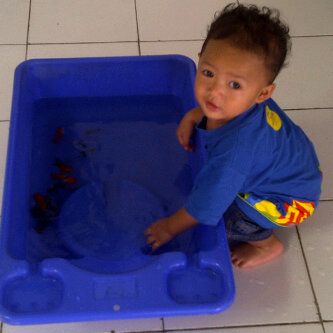 Azka Malik Haryanto, 1,7 Tahun, Lelaki