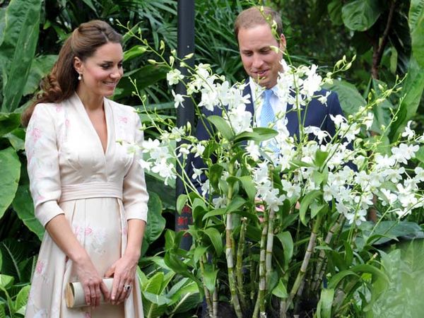 William & Kate Kunjungi Singapore Botanical Gardens