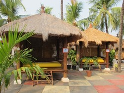 Water Park Plus-Plus, Mau?