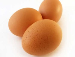 Mantan Manajer Peternakan Akui Bersalah Atas Telur Tercemar