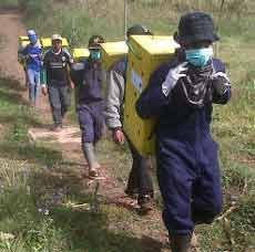 13 Lutung Dilepas ke Hutan Coban Talun