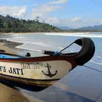 Anas Ajak Pengusaha Berinvestasi di Banyuwangi