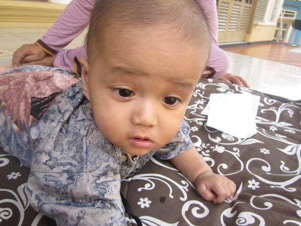 M. Naufal Farizi El Faza