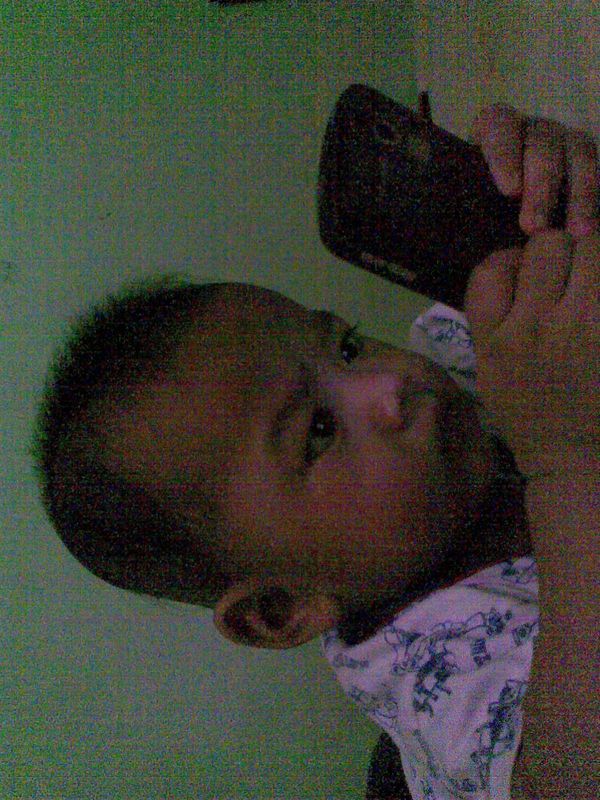 Azib Musthapa Ibrahim, 2,10 Tahun, Lelaki