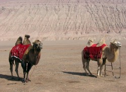 Ini Dia 10 Tempat Paling Panas di Dunia