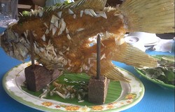 Ikan Gurame Goreng