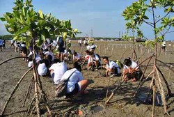 Menghijaukan Pantai Serangan Bali dengan Tanam Bakau