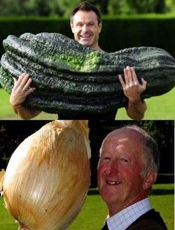 Wow, Kol di New Zealand Ini Beratnya 36 kg!