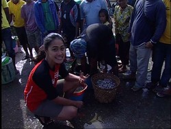 Mengais Harta Terpendam di Bumi Walio