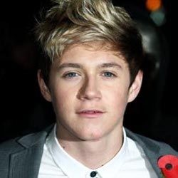 Niall One Direction Terlalu Malas untuk Cari Pacar