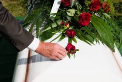 Begitu Cantik Tapi Begitu Mematikan