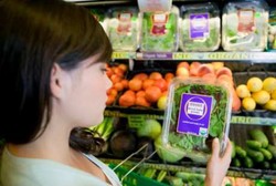 Ini Alasan Kenapa Orang Perlu Konsumsi Makanan Organik