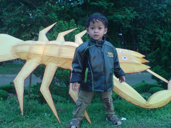 Zafran Rizqi Sesioprasista, 2,1 Tahun, Lelaki