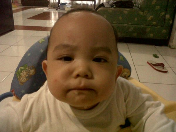 Muhammad Lutfi Halim, 1,10 Tahun, Lelaki