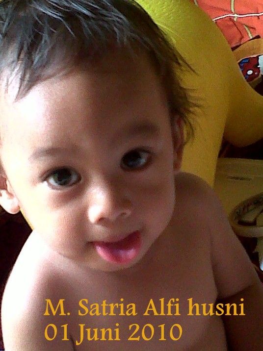 Muhammad Satria Alfi Husni, 2,3 Tahun, Lelaki