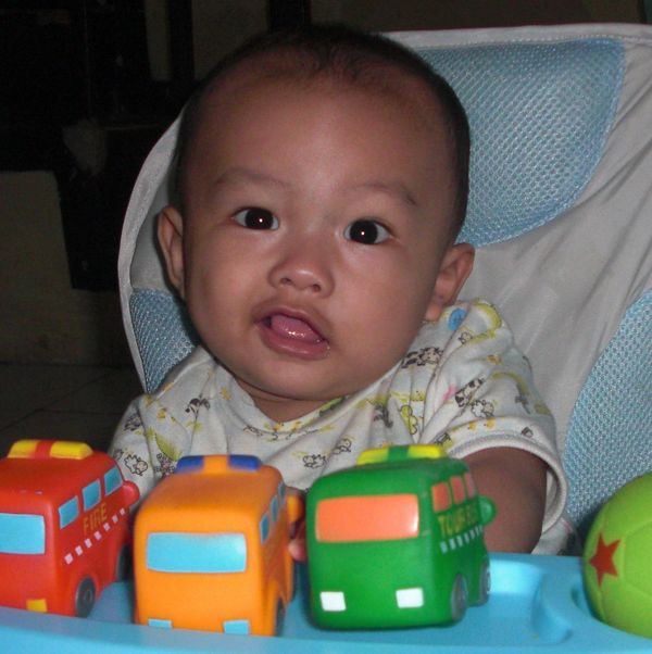 Hamizan Alfasya, 2 Tahun, Lelaki
