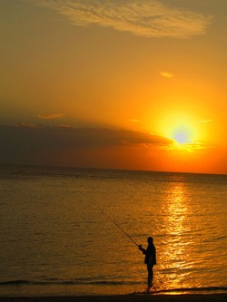sunset