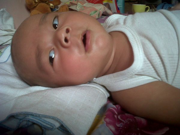 Jose Timothy Shine, 6 Bulan, Lelaki