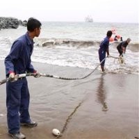 4 Pulau Tujuan Wisata Dunia di NTB Dapat Listrik Kabel Bawah Laut PLN