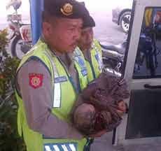 Dua Polisi Bantu Seorang Ibu yang Melahirkan di Tanjung Perak