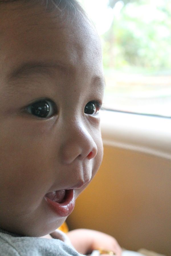 Muhammad Raja Tsaqif, 1,11 Tahun, Lelaki