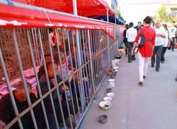 Saat Festival, Pengemis di China Punya Stand Khusus