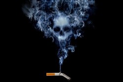 Tak Merokok Tapi Sering Hisap Asap Rokok? Hati-hati Cepat Pikun