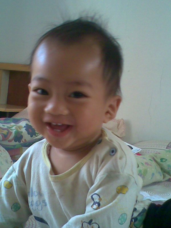 Gavin Azarya Pratista, 1,8 Tahun, Lelaki
