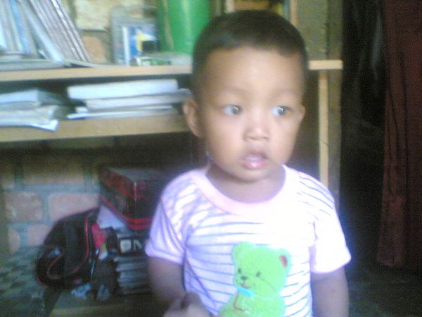Fariz Ahmad Yazid, 1,6 Tahun, Lelaki