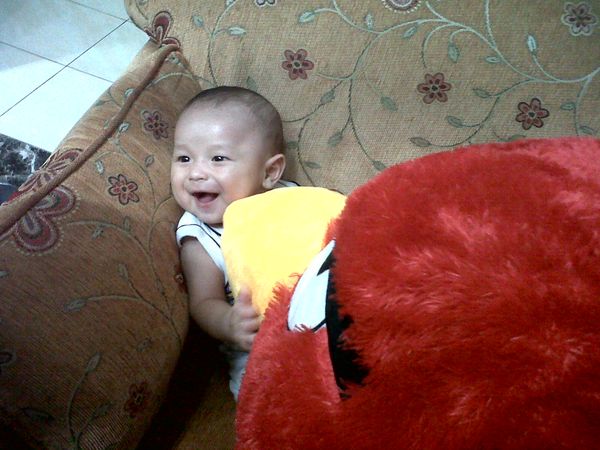Wisnu Wildan Arifin, 9 Bulan. Lelaki