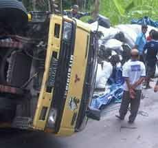 Truk Muat Rumput Laut Terguling