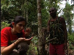 Angin Surga Danau Anggi