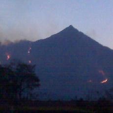 Kebakaran Hutan di Gunung Arjuna Kian Menghebat