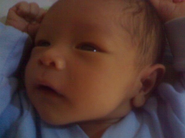 Fatir Rizqi Tenrilawa,4,10 Tahun, Lelaki