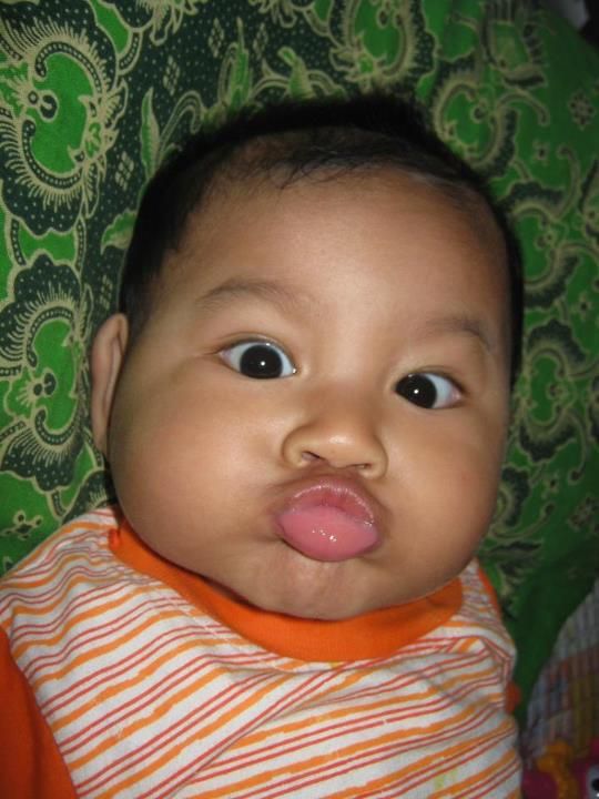 Miqdaad Hanif Al Aziz, 11 Bulan, Lelaki