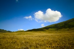 Bukit teletubbies