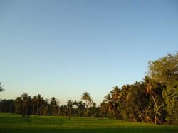 Keren! 4 dari 10 Desa Wisata Terbaik Berasal dari Yogyakarta