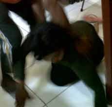 Wanita Tukang Pijat Kesurupan Saat Terjaring Razia 