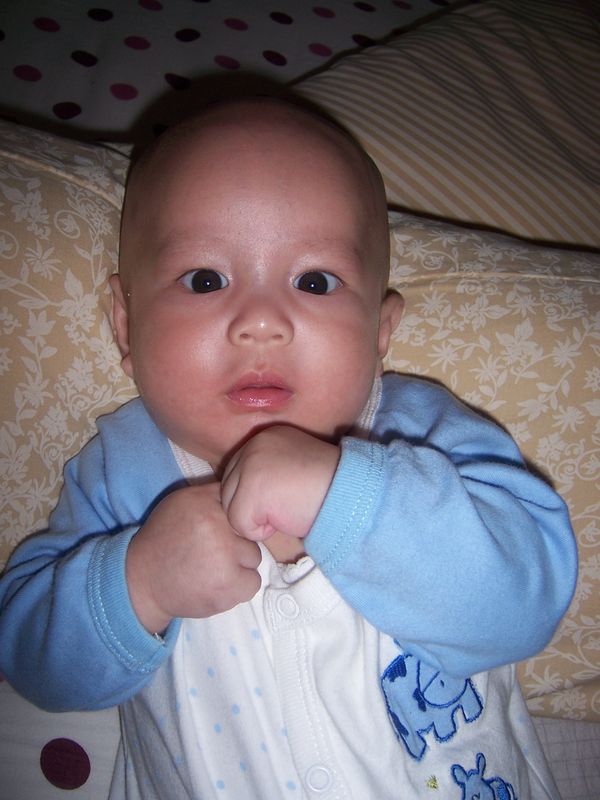 Ibrahim Zhafran Yustama, 1,2 Tahun, Lelaki
