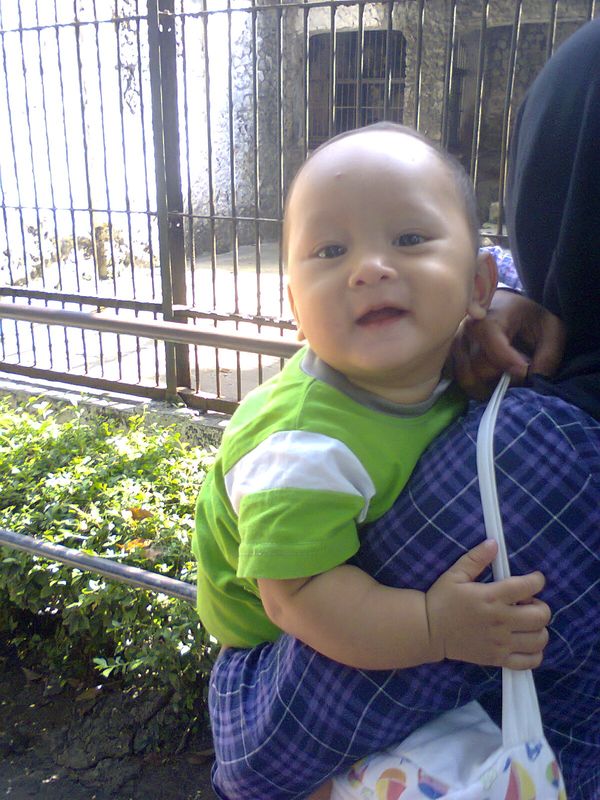 Sulthan Hadi, 8 Bulan, Lelaki