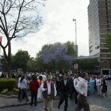 Gempa 6,2 SR Guncang Meksiko, 1.000 Turis Berlarian Keluar Hotel