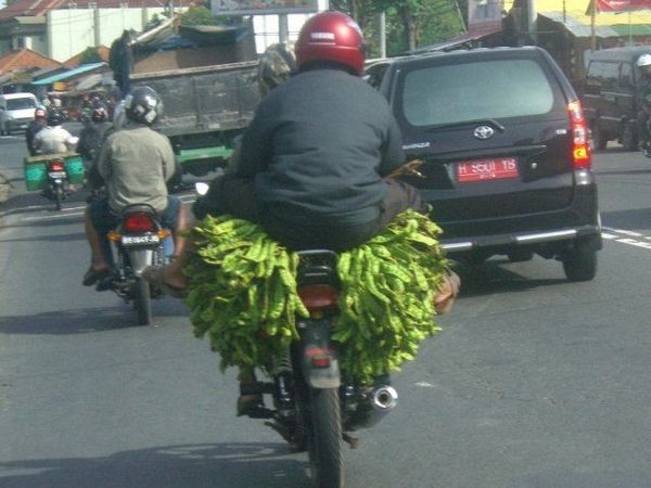 Motor Dipenuhi Petai