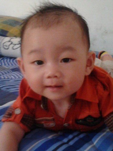 Samuel Tysario Timothy El Yordani, 1,8 Tahun, Lelaki