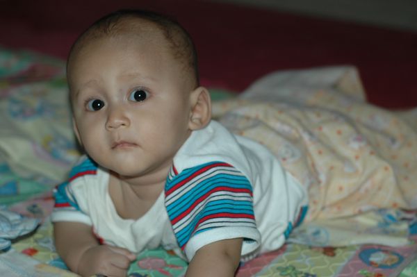 Abdullah Hanif Al-Furqon, 1,1 Tahun, Lelaki