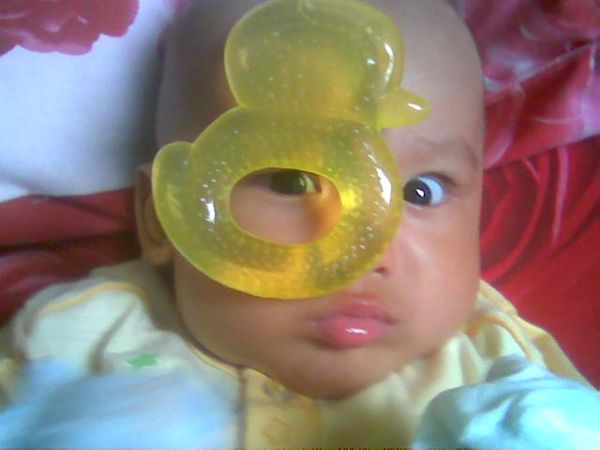 Muhammad Rafa Elora Hanif, 1 Tahun, Lelaki