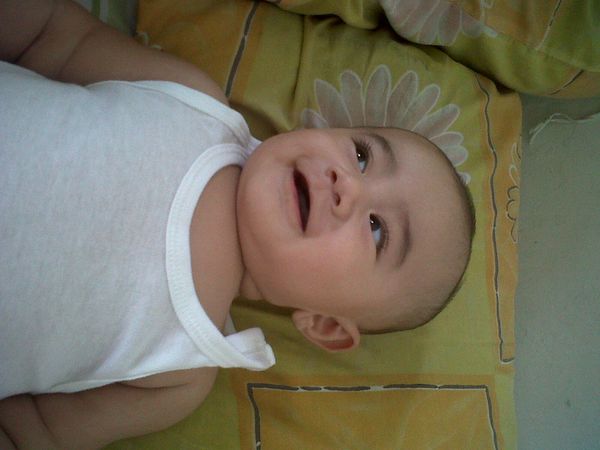 Jedidiah Barachel Abisha, 1 Tahun, Lelaki