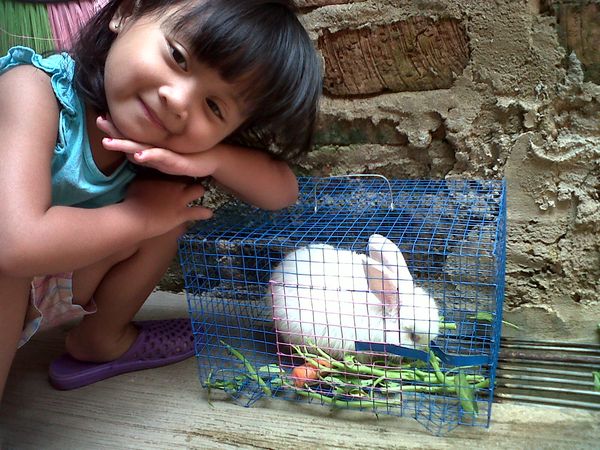 Lovelynaira Filzah Denica, 3 Tahun, Perempuan
