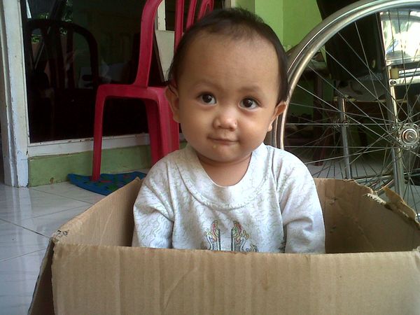 Muhammad Khairi Fatih, 1,5 Tahun, Lelaki
