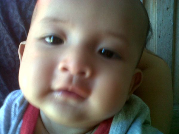 Avisenna Ibnu Annas, 9 Bulan, Lelaki