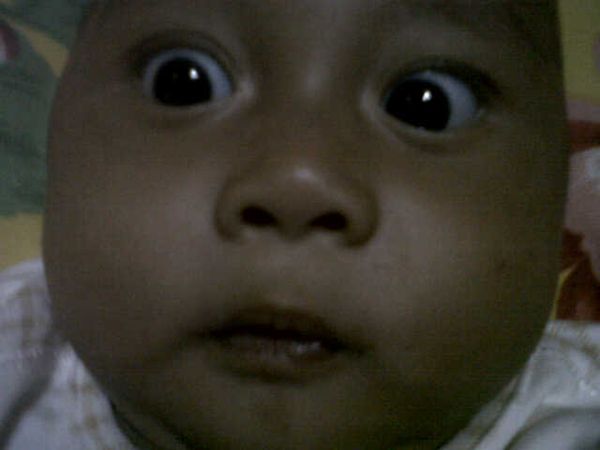 Luthfi, 2 Bulan, Lelaki